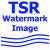 Cyprian TrueType Logo Download bei gx510.com