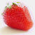 Strawberry Perl für Windows Logo Download bei gx510.com