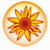 Studioline Photo Basic Logo Download bei gx510.com