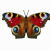 Webocton - Scriptly 0.8.95.6 Logo Download bei gx510.com