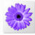 Artweaver Logo Download bei gx510.com